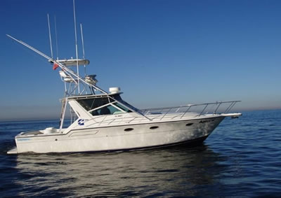 Fishing Charters Newport Beach 6-Pack